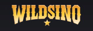wildsino casino logo